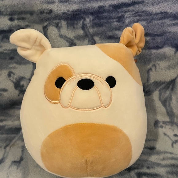 Brock the dog Squishmallow Bundle💕 - Picture 2 of 4